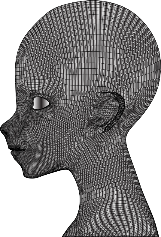 Boy Wireframe Head Duochrome 2