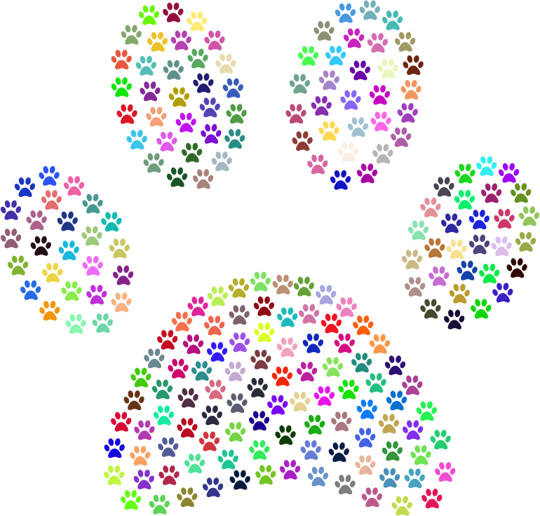 Paw Print Fractal Prismatic