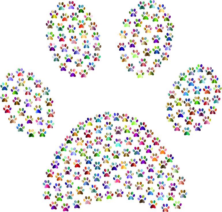 Paw Print Fractal Chromatic