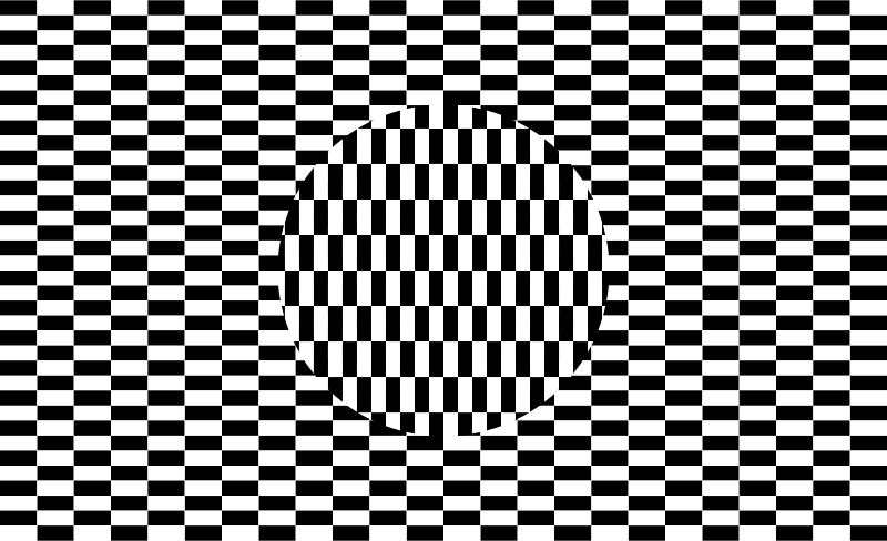 Optical Illusion Checkerboard