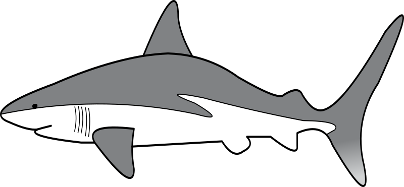 shark bmp clipart