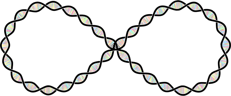 DNA Helix Infinity Polyprismatic