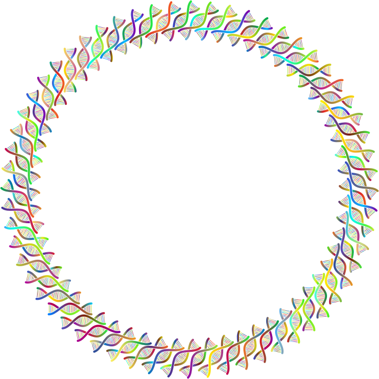 DNA Helix Frame III Polyprismatic