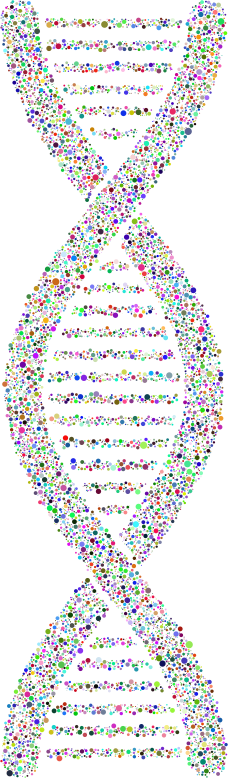 DNA Helix Circles Prismatic