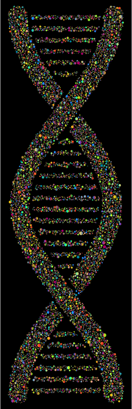 DNA Helix Circles Polyprismatic