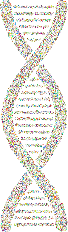 DNA Helix Circles Polyprismatic No BG