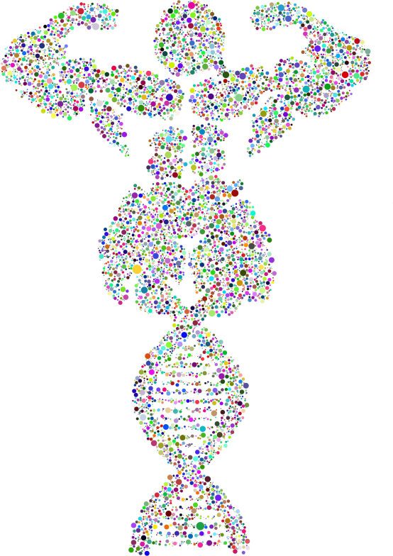 Bodybuilder DNA Circles Prismatic