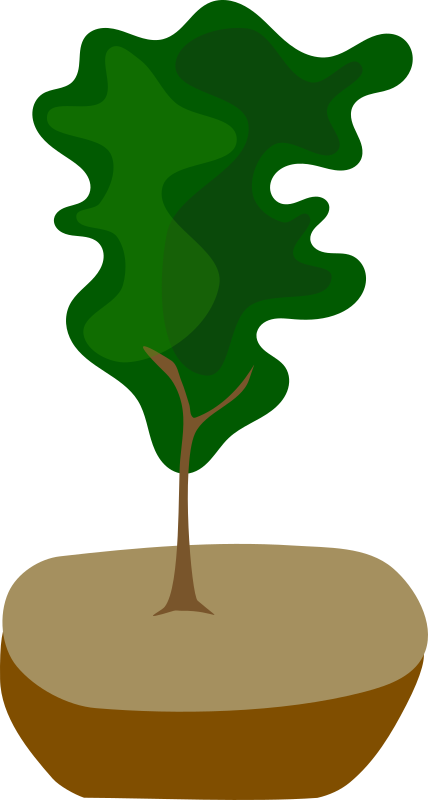 Tree in Pot