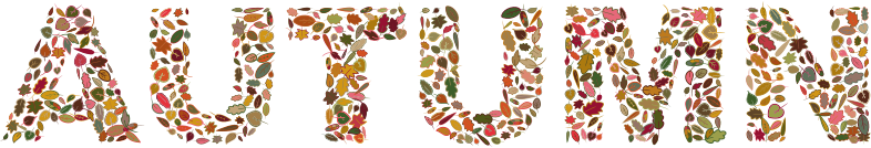 Autumn Leaves Typography