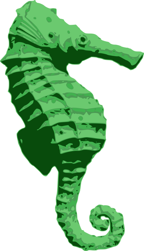 Green Seahorse