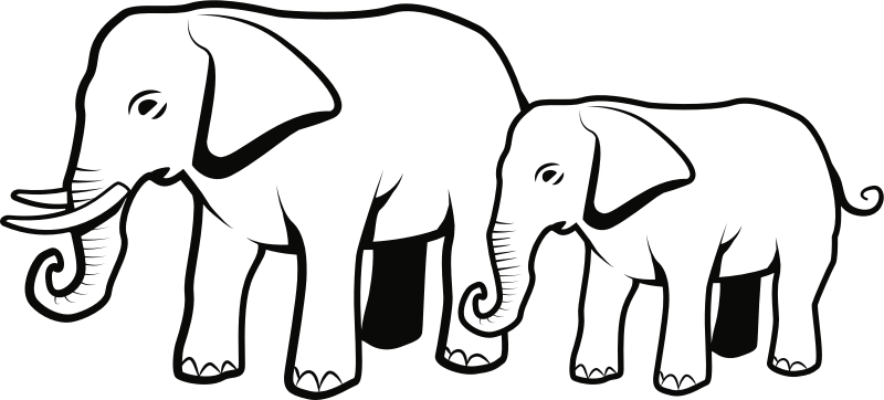 Elephants