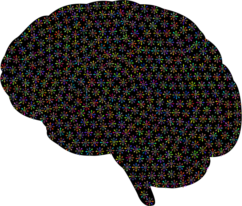 Neural Connections Polyprismatic