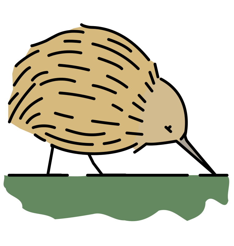 Kiwi Bird