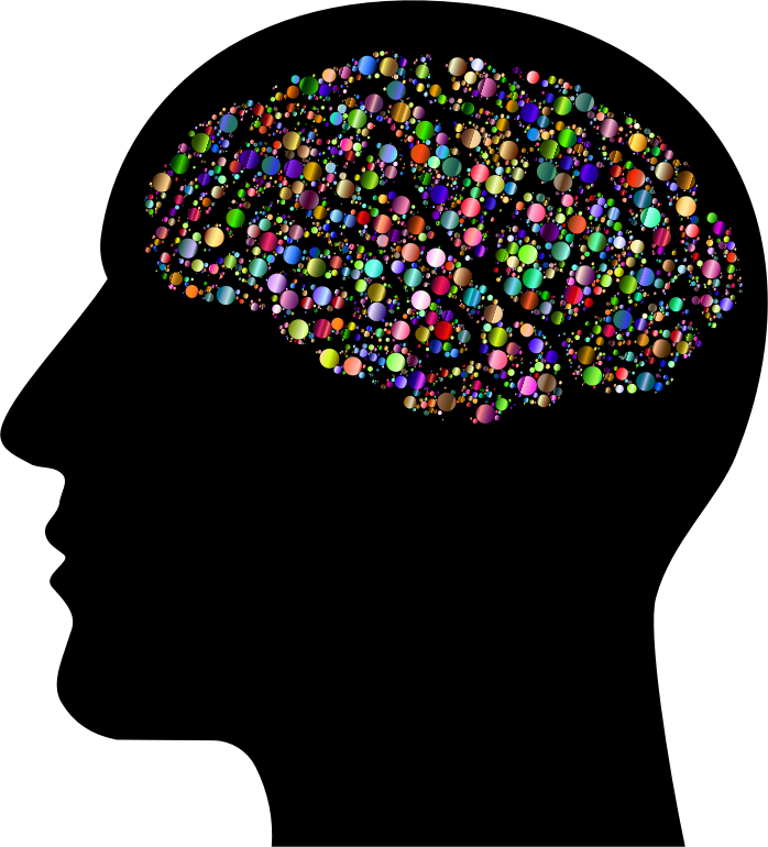 Нейроны мозга. Mind head. Brain in a head PNG. Thinking symbol.