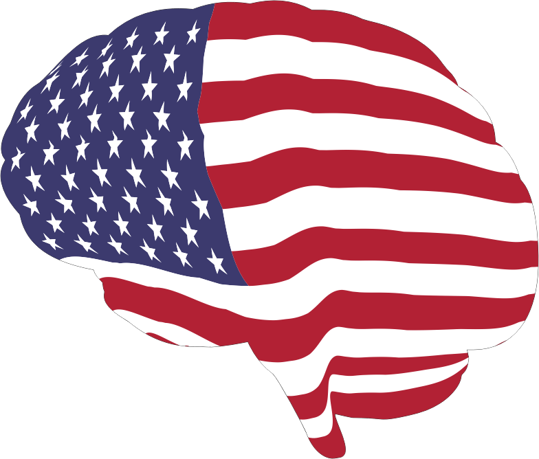 American Brain With Stroke