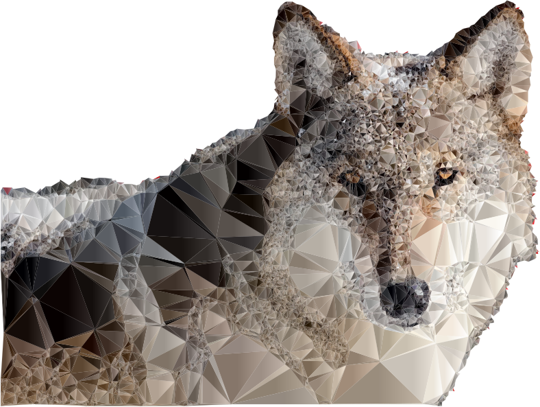 Low Poly Snow Wolf