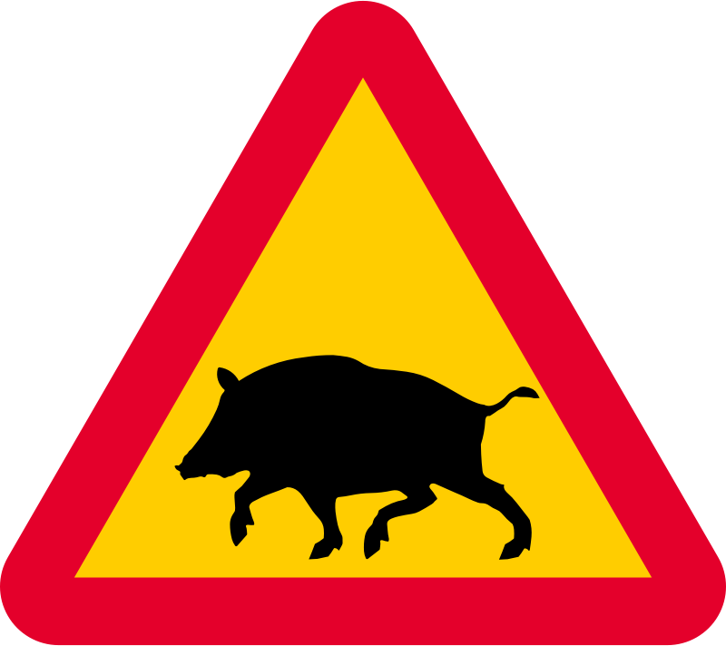 Warning Boars