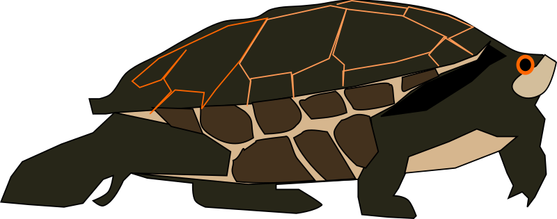 Turtle