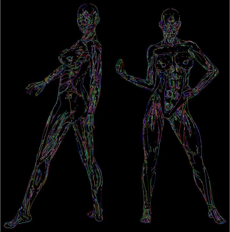 Muscular Women Line Art Prismatic