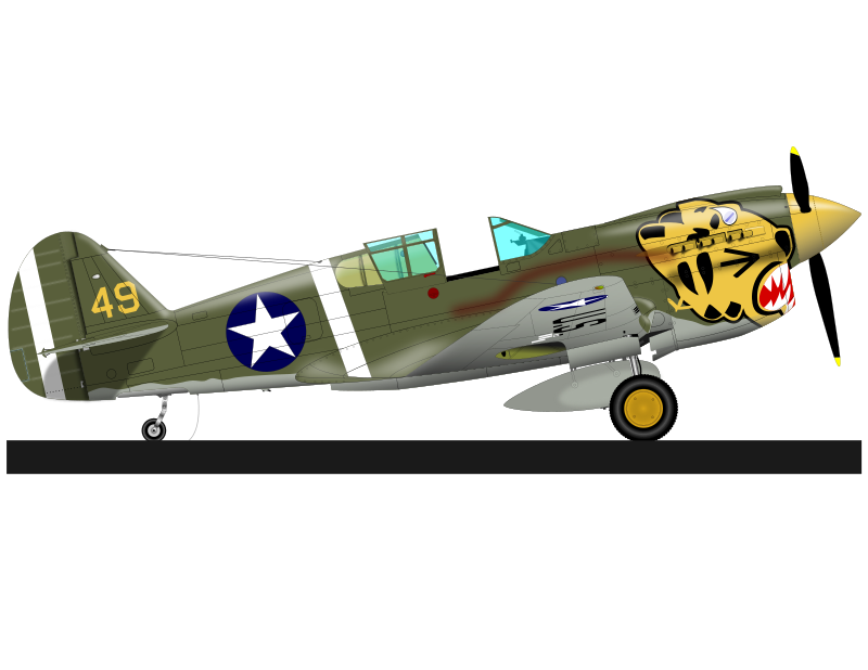 P-40 WARHAWK