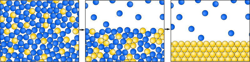 Evaporation of Sugar-Water-Mixture in the particle model