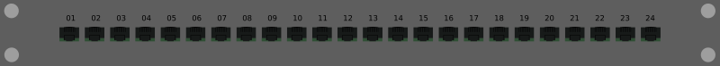 1HE 24 port RJ45/8P8C ethernet patch