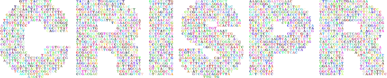 CRISPR II Prismatic