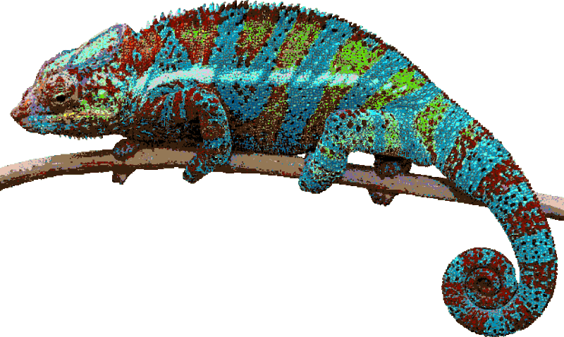 chameleon