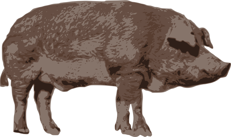 Simple Boar