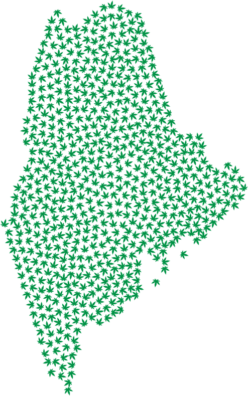 Maine Marijuana Green