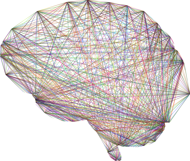 Geometric Connections Brain Chromatic