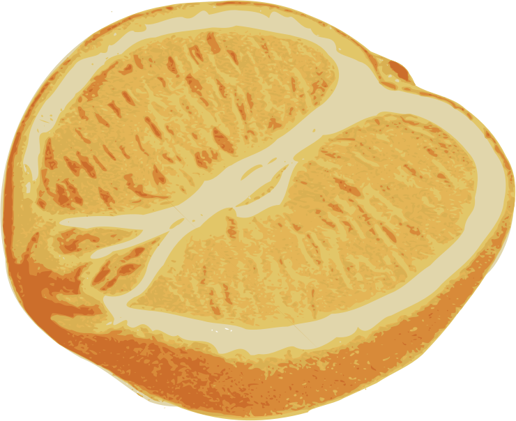 Sliced Orange