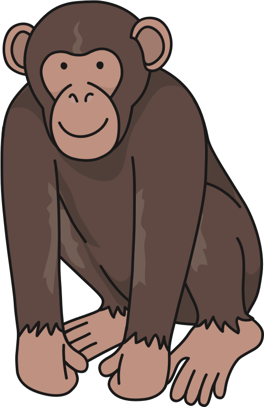 Chimpanzee