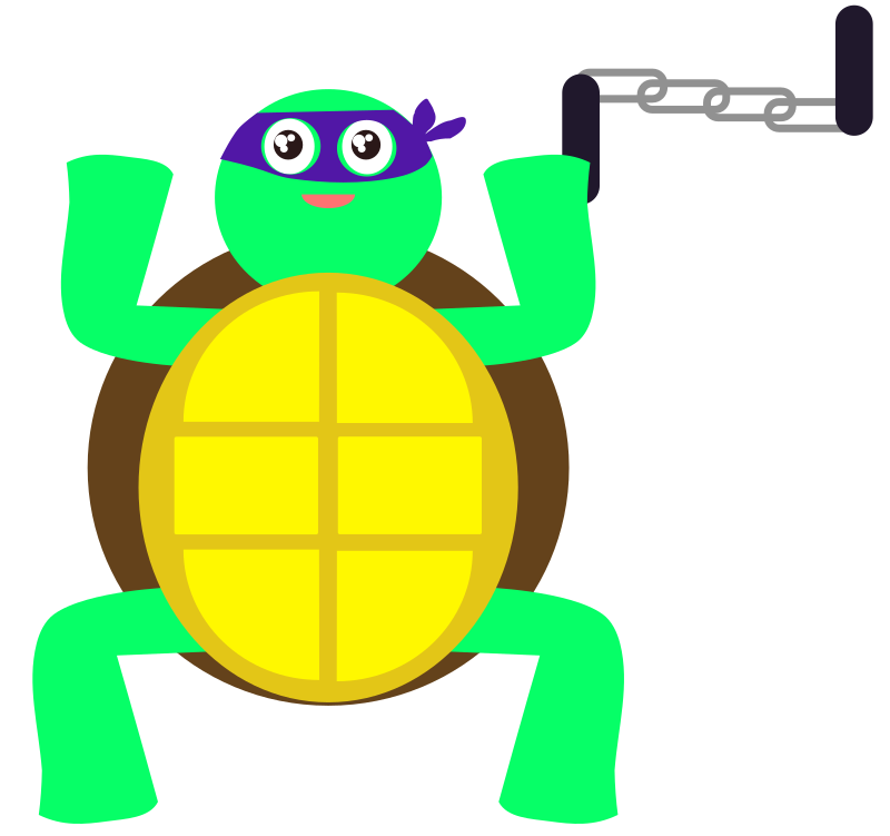 Turtle Ninja