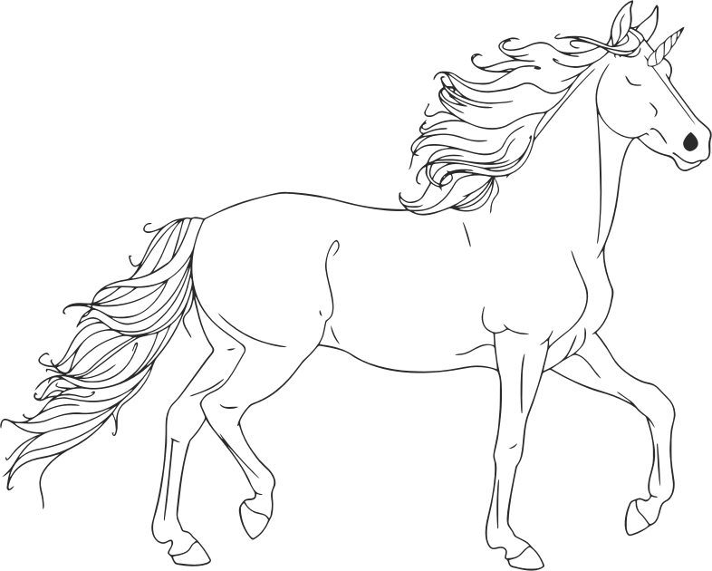 Unicorn Line Art