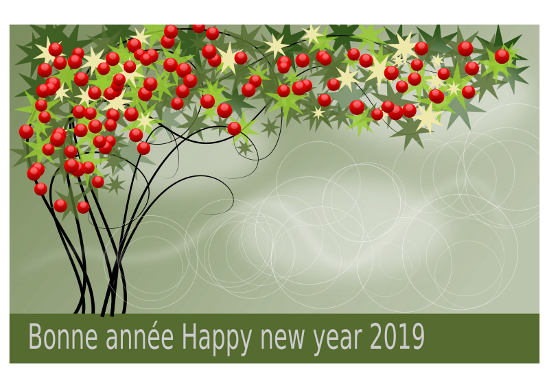 Bonne année 2019