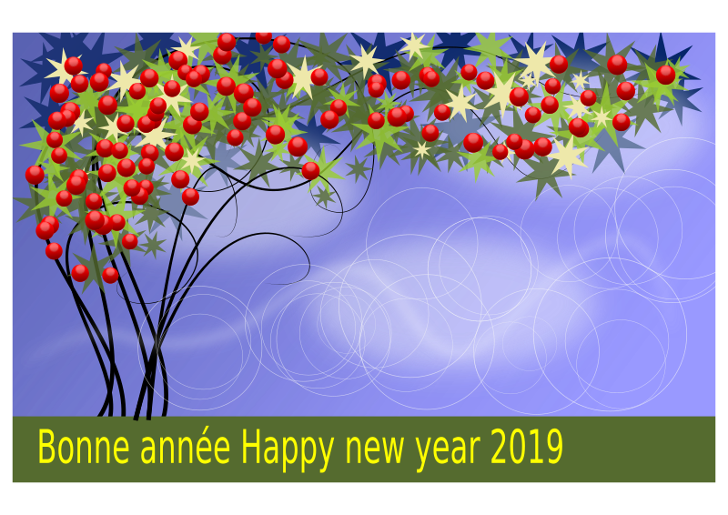 Bonne année 2019 version 2