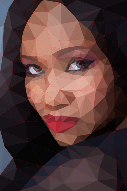 low poly portrait