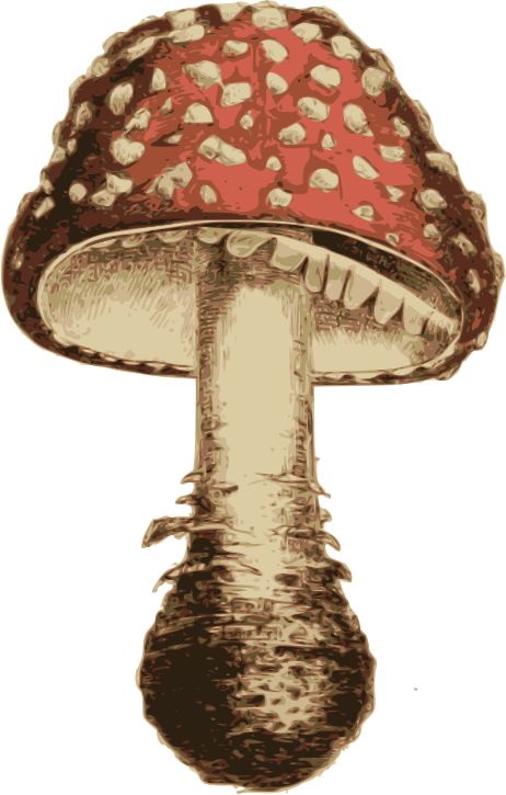 Classic Mushroom