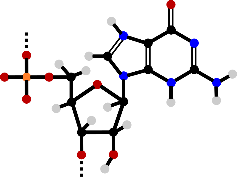 Guanosine monophosphate