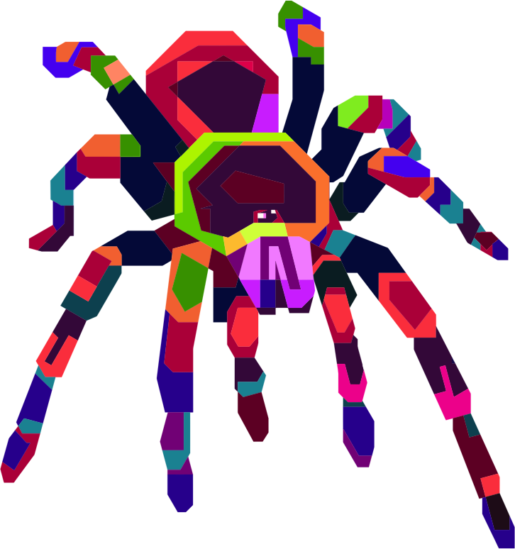 Geometric Tarantula By bayuniatini No Shadow