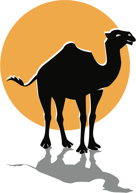 Camel