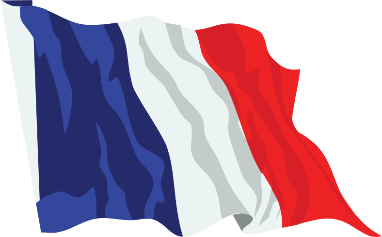 France Flag In The Wind