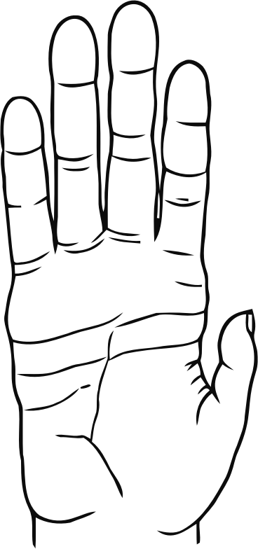 Chimpanzee Hand Line Art