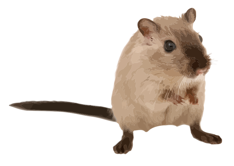 Geri the gerbil