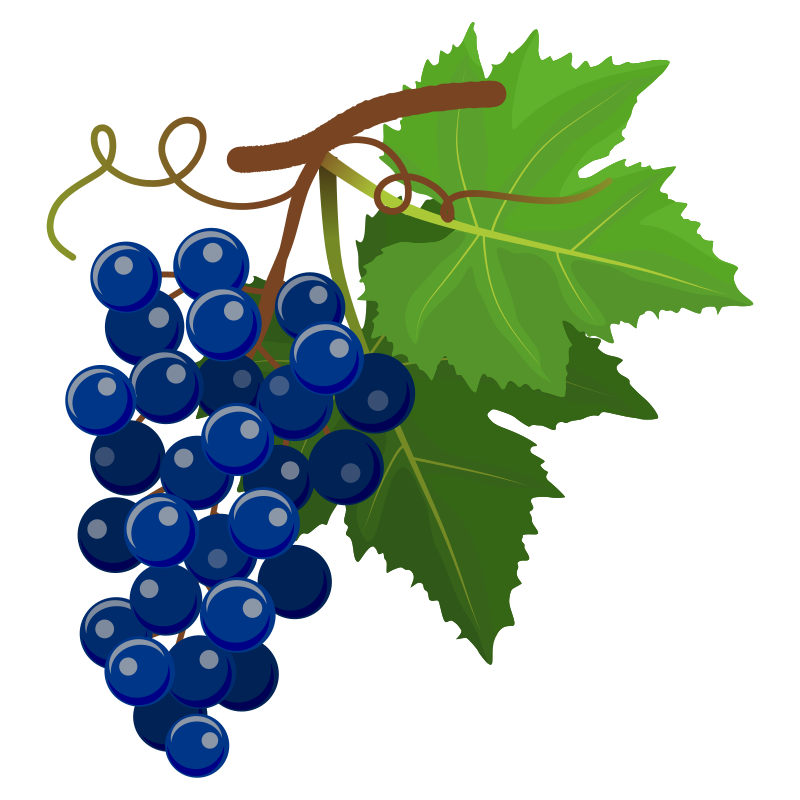 Grapes 010220191