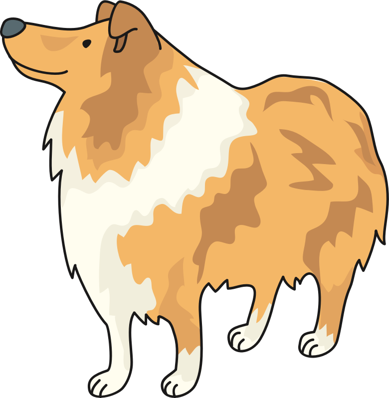 Collie