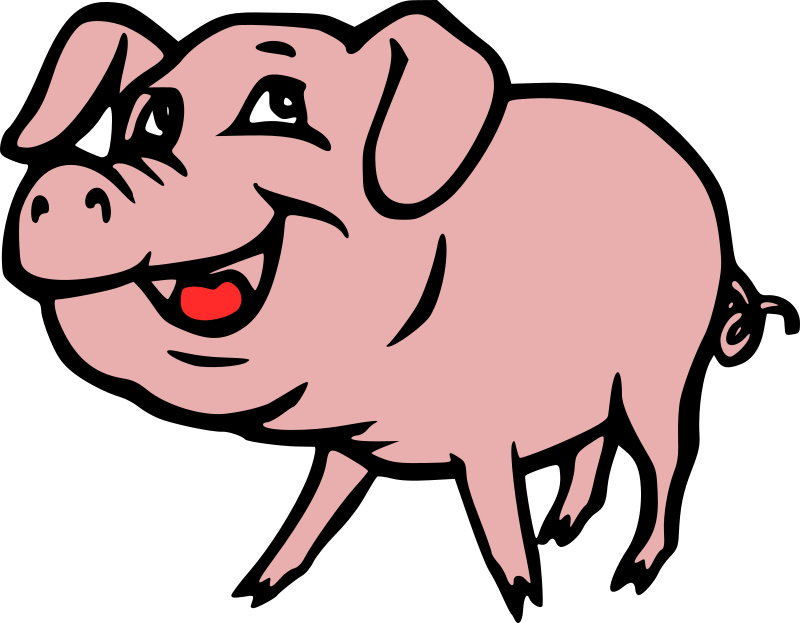 Smiling Pig