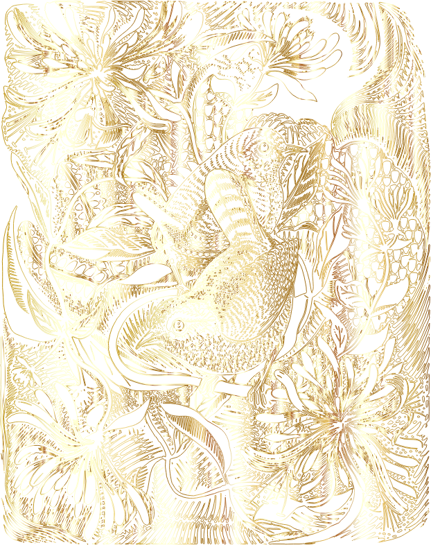 Wrens In Honeysuckle By GW Lennox Paterson Gold No BG