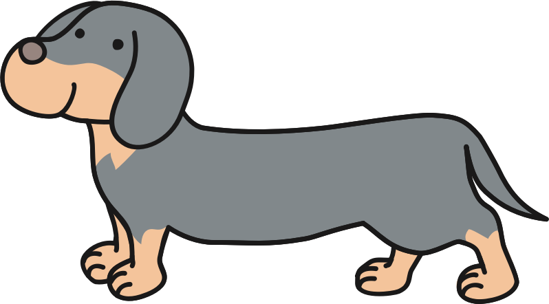 Dachshund